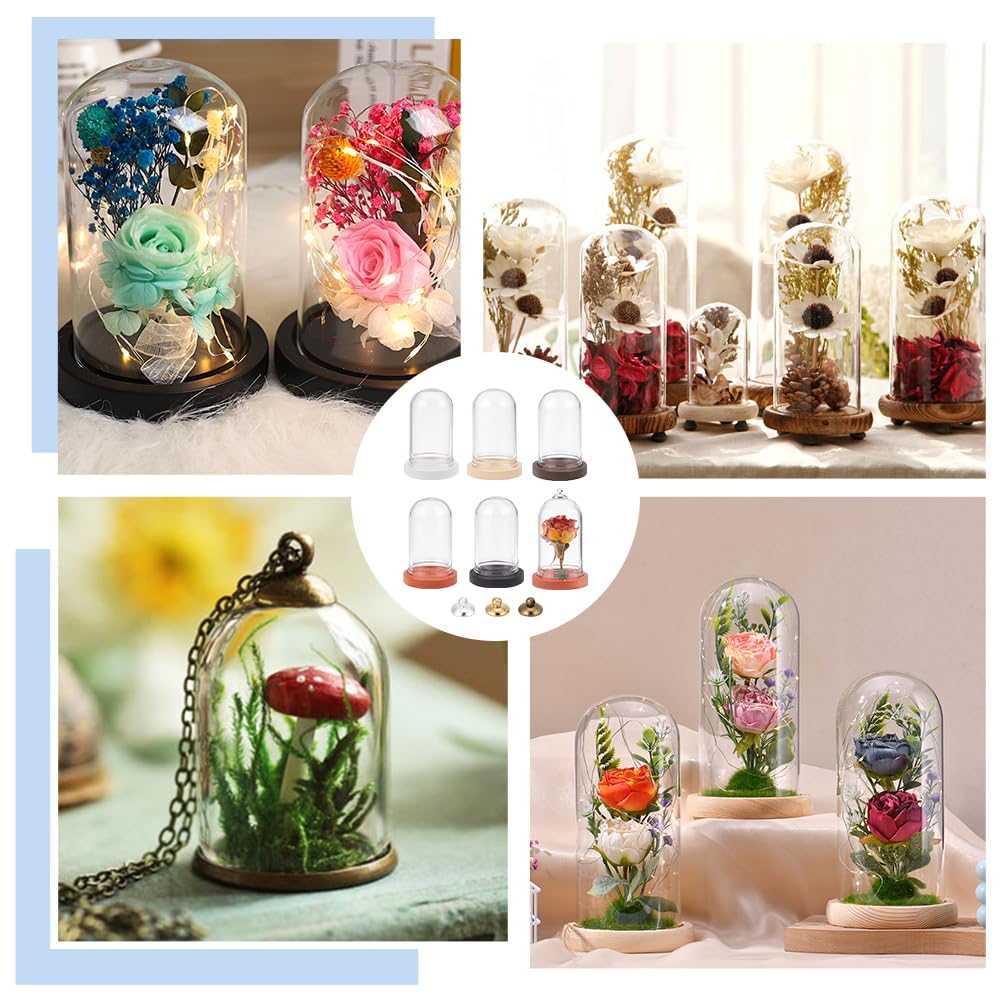 Amazon.com: BENECREAT 15 Set Mini Eternal Flower Glass Dome Cloche